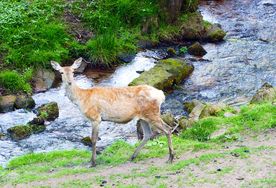 Natur und Kultur auf der Spur