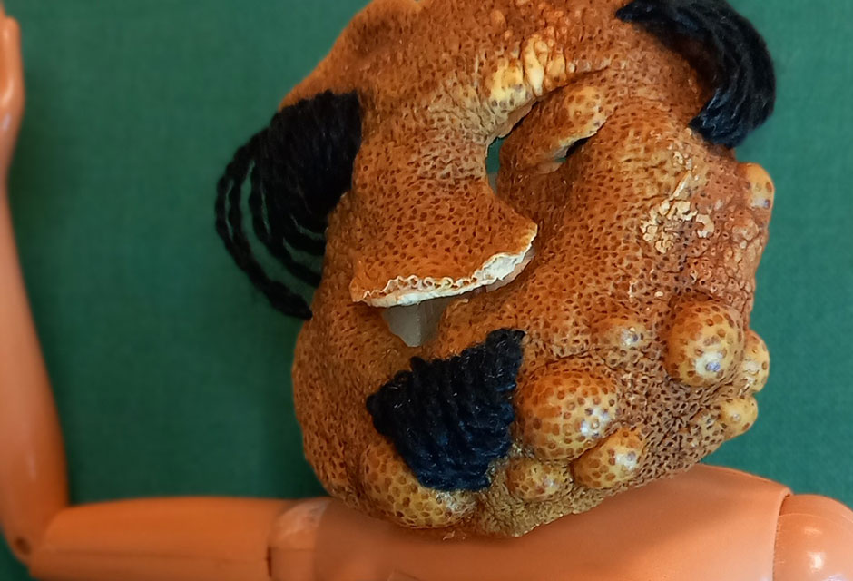 Ulrike Krautheim, Plastiken mit Citruswicken